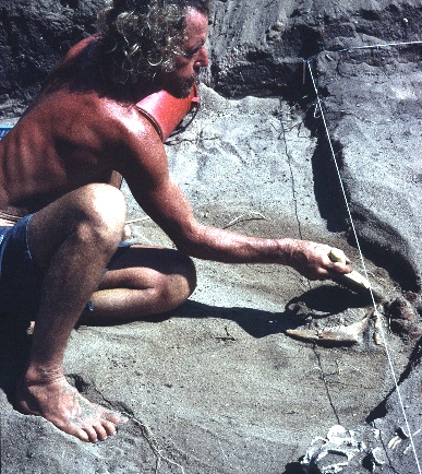 William Meacham, The Archaeology of Hong Kong Collection