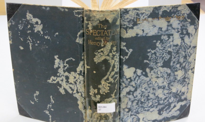 Damaged book with insects